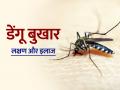 डेंगू बुखार के लक्षण और इलाज, अपनाएं ये 5 उपाय, डेंगू बुखार होगा दूर - Hindi News | Dengue fever symptoms causes treatment at home dengue ke lakshan in hindi | Latest health Photos at Lokmatnews.in