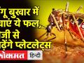 डेंगू बुखार में कौन-कौन से फल खाने चाहिए जिनसे तेजी से बढ़ेगी प्लेटलेट्सए जानिए - Hindi News | Know which fruits should be eaten in dengue fever, which will increase platelets rapidly | Latest health Videos at Lokmatnews.in
