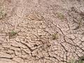 ब्लॉग: दुनिया की विकट समस्या बन रहा मरुस्थलीकरण - Hindi News | Desertification is becoming a serious problem of the world | Latest india News at Lokmatnews.in