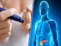 डायबिटीज जीवनभर रहेगी कंट्रोल, बस रोजाना समय पर कर लें ये 2 काम - Hindi News | diabetes tips : diet tips for diabetics patients to control blood sugar level and increase insulin in bloodstream in Hindi | Latest health News at Lokmatnews.in