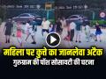 VIDEO: महिला पर कुत्ते का जानलेवा अटैक, लोगों ने बचाई जान, देखें वायरल वीडियो - Hindi News | Dog Attack Woman Walking in Gurugram Video Goes Viral | Latest weird News at Lokmatnews.in