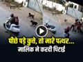 VIDEO: पीछे पड़े कुत्ते... जान बचने के लिए मारे पत्थर, मालिक ने करदी पिटाई, देखें वायरल वीडियो - Hindi News | Dogs attacked a scooter rider he threw stones to save his life Dog Owner attacks scooter rider | Latest weird News at Lokmatnews.in
