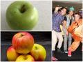हर रोज खाएं 4 से 5 मीडियम साइज हरा सेब, रहेगा दिल स्वस्थ-दिखेंगे स्किन और बाल यंग, मिलेंगे चौंकाने वाले शारीरिक लाभ - Hindi News | Eat 4 to 5 medium sized green apples everyday remain heart healthy skin hair look young get amazing physical benefits | Latest health News at Lokmatnews.in