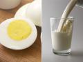 क्या दूध के साथ अंडा खाना चाहिए? - Hindi News | Eating Habits: Pros and Cons of consuming Egg-Milk together | Latest health News at Lokmatnews.in