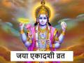 Jaya Ekadashi 2024: जया एकादशी आज, श्रीहरि की कृपा पाने के लिए करें ये 5 उपाय, मनोकामना होगी पूरी - Hindi News | Jaya Ekadashi 2024 do these 5 measures to get the blessings of Shri Hari, your wishes will be fulfilled | Latest spirituality Photos at Lokmatnews.in