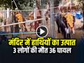 VIDEO: मंदिर में हाथियों का उत्पात, 3 लोगों की मौत 36 घायल, देखें वीडियो - Hindi News | Elephant Attack Sparks Stampede At Kerala Temple 3 People Died | Latest weird News at Lokmatnews.in
