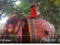 बाबा रामदेव हाथी पर बैठकर कर रहे थे योग आसन, गिरने के बाद उठकर झाड़ने लगे धूल, देखें वीडियो - Hindi News | Baba Ramdev was doing yoga postures sitting on an elephant, after falling he got up and started dusting, watch the video | Latest weird News at Lokmatnews.in