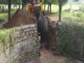 Video: हाथी गिरा कुएं में, जेसीबी लगाकर निकाला गया बाहर, देखिए कैसे बची जान - Hindi News | Video: Elephant fell into the well, was pulled out by using JCB, see how life was saved | Latest weird News at Lokmatnews.in