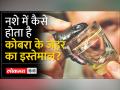 Elvish Yadav News: सांपो से जुड़े मामले में Elvish पर लगे आरोप, जानें कैसे बनता है जहर से नशा - Hindi News | Elvish Yadav News: Accusations against Elvish in snake related case, know how poison becomes intoxicating | Latest india Videos at Lokmatnews.in