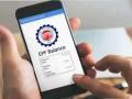 EPFO: EPF विड्रॉल अटक जाए तो क्या करें? फॉलो करें ये आसान तरीका, जल्द मिलेगा पैसा - Hindi News | EPFO What to do if your EPF withdrawal is stuck Follow this simple method to get your money back quickly | Latest business News at Lokmatnews.in