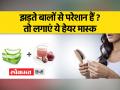 झड़ते बालों की परेशानी का इलाज, लगाएं ये हेयर मास्क - Hindi News | Hair fall treatment, apply this hair mask | Latest health Videos at Lokmatnews.in