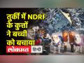 तुर्की में कमाल कर रहे हैं भारत की जूली और रोमियो, मलबे में खोज लेते हैं जिंदगी, 6 साल की मासूम की ऐसे बचाई जान - Hindi News | India's Julie and Romeo are doing wonders in Turkey, find life in the debris, saved the life of a 6-year-old innocent like this | Latest world Videos at Lokmatnews.in
