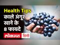 काले अंगूर, Cancer, डायबिटीज सहित 8 रोगों से लड़ने में सहायक! - Hindi News | Health Benefits of Eating Black Grapes | Latest health Videos at Lokmatnews.in