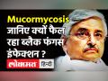 Corona संक्रमितों में Black Fungus के मामलों को लेकर AIIMS डायरेक्टर Randeep Guleria ने दी चेतावनी! - Hindi News | AIIMS Director Dr Randeep Guleria on Mucormycosis | Latest health Videos at Lokmatnews.in