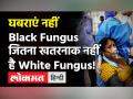 व्हाइट फंगस का खतरा सबसे ज्यादा किसे है, जानें लक्षण, बरतें ये सावधानियां! - Hindi News | White Fungus Symptoms and Treatment | Latest health Videos at Lokmatnews.in