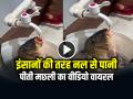 VIRAL: इंसानों की तरह नल से पानी पीती मछली का वीडियो वायरल, हैरान हुए लोग - Hindi News | Fish Drink Water Like Humans Video Goes Viral | Latest weird News at Lokmatnews.in