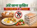 FSSAI: अंडे खाना सुरक्षित, कैंसर संबंधी खतरे के दावे निराधार - Hindi News | | Latest health News at Lokmatnews.in