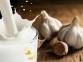 Diet tips: कोरोना काल में जरूर पियें लहसुन वाला दूध, इम्यूनिटी होगी मजबूत, नसों और आंतों में जमा गंदगी होगी साफ - Hindi News | garlic milk benefits in ayurveda : drink garlic milk to get rid constipation, cholesterol, arthritis, sciatica, acidity, cancer and boost immunity system | Latest health News at Lokmatnews.in
