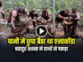 VIRAL: पानी में छुपा बैठा था विशालकाय एनाकोंडा, बहादुर शख्स ने हाथों से पकड़कर किया रेस्क्यू - Hindi News | Giant Anaconda was hiding in the water, a brave man rescued it by catching it with his hands | Latest weird News at Lokmatnews.in
