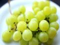 तनाव और बेचैनी से रहना है दूर तो रोजाना खाएं अंगूर - Hindi News | grapes can act as a natural remedy to fight depression | Latest health News at Lokmatnews.in