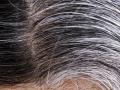 Hair Care Tips : मेहंदी में ये 2 चीज मिलाकर लगा लें, बुढ़ापे तक काले रहेंगे बाल - Hindi News | Hair Care Tips : grey hair causes, risk factors, treatment, home remedies, natural remedies, prevention tips, foods to eat and avoid, grey hair solution in Hindi | Latest health News at Lokmatnews.in