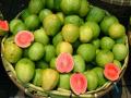 अमरुद महोत्सव में चखिए 15 तरह के अमरूदों का स्वाद और जानिए - Hindi News | Guava Festival: Try different types of Guava | Latest food News at Lokmatnews.in