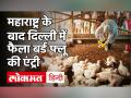 Bird Flu: Delhi में बर्ड फ्लू के मामलों की पुष्टि, महाराष्ट्र समेत देश के 9 राज्यों में फैला संक्रमण - Hindi News | Bird Flu: Bird flu cases confirmed in Delhi, infection spread in 9 states of the country including Maharashtra | Latest india Videos at Lokmatnews.in