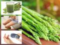 शतावरी के इन फायदों को जानने के बाद रोज खाना कर देंगे शुरू, सेक्स जीवन भी होगा बेहतर - Hindi News | In Pics: Health and sex Benefits of taking Asparagus aka Shatavari on daily basis | Latest health Photos at Lokmatnews.in