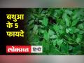 सेहत का खजाना है बथुआ, खून को साफ कर दूर करता है पेट की समस्या - Hindi News | Bathua is a treasure of health, removes stomach problems by cleaning the blood | Latest health Videos at Lokmatnews.in