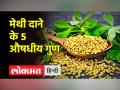 मेथी दाने के इस्तेमाल से मिलते हैं ये लाभ - Hindi News | You get these benefits from the use of fenugreek seeds | Latest health Videos at Lokmatnews.in