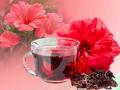 डायबिटीज, कैंसर और मोटापे का रामबाण इलाज है ये फूल - Hindi News | amazing health benefits of Rosemallows or Hibiscus | Latest health Photos at Lokmatnews.in