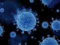 HMPV Human Metapneumovirus: 24 घंटे में 3 केस, अहमदाबाद में दो माह का शिशु और कर्नाटक में दो मामले, घबराएं नहीं, सहयोग करें - Hindi News | HMPV Human Metapneumovirus 3 cases in 24 hours 2 month old baby in Ahmedabad 2 cases in Karnataka don't panic, cooperate | Latest health News at Lokmatnews.in