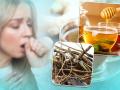 बदलते मौसम में खांसी से परेशान लोग अपनाएं ये 5 आसान घरेलू उपचार - Hindi News | Home Remedy For Cough treatment honey herbal tea or warm water and lemon | Latest health Photos at Lokmatnews.in