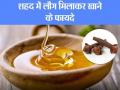 शहद और लौंग मिलाकर खाने के फायदे : पेट, किडनी, लिवर की 8 बीमारियों से बचाव कर सकते हैं शहद-लौंग - Hindi News | honey and cloves benefits: 8 health benefits of eating cloves and honey together in Hindi, honey and cloves nutrition facts, immunity boosting foods in Hindi | Latest health News at Lokmatnews.in