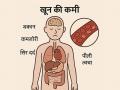 Health Tips in Hindi: खून की कमी होने पर खाएं ये 7 चीजें, शरीर में तेजी से बढ़ेगा खून - Hindi News | How To Increase Hemoglobin Eat These 7 Foods That Will help increasing hemoglobin | Latest health News at Lokmatnews.in
