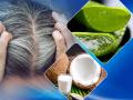 सफेद बालों से छुटकारा दिलाएंगी ये 6 चीजें, बालों का झड़ना भी होगा कम - Hindi News | how to turn gray hair to black naturally these home remedies | Latest health Photos at Lokmatnews.in