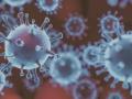 Human Metapneumovirus HMPV: भारत में पहला केस, 8 माह की बच्ची संक्रमित?, चीन में तेजी से फैल रहा HMPV - Hindi News | Human Metapneumovirus HMPV LIVE updates first case in india banglaore hospital 8 month baby infected china breakout health minister | Latest india News at Lokmatnews.in