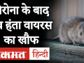 कोरोना के बाद अब हंता वायरस का खौफ - Hindi News | A person from Yunnan Province, China died was tested positive for hantavirus. | Latest india Videos at Lokmatnews.in