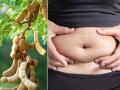 Weight Loss : पेट की चर्बी कम करने के लिए खाएं ये 8 चीजें, तेजी से घटेगा वजन - Hindi News | How to Reduce Tummy Fat Eat These 8 Things to Lose Weight in Winter | Latest health Photos at Lokmatnews.in