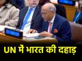 'आतंकवादी हमलों में मारे गए 20,000 भारतीय...', UN में भारत ने पाकिस्तान को किया एक्सपोज - Hindi News | India exposes Pakistan in UN said 20000 Indians killed in terrorist attacks | Latest india News at Lokmatnews.in