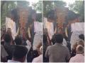 देखें वीडियो: पूजा-पाठ व अन्य अनुष्ठान के लिए केरल के मंदिर में लाया गया भारत का पहला रोबोटिक हाथी, देखने के लिए लोगों की उमड़ी भारी भीड़ - Hindi News | India first robotic elephant brought to Kerala temple for worship other rituals huge crowd gathered to see video | Latest weird News at Lokmatnews.in