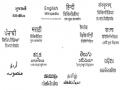 गिरीश्वर मिश्र का ब्लॉग: भाषा के जरूरी सवाल पर करना होगा विचार - Hindi News | Girishwar Mishra's blog: Important question of language will have to be considered | Latest education News at Lokmatnews.in