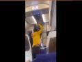 Viral Video: फ्लाइट में हुआ जूतम पैजार, दिल्ली-गोवा फ्लाइट में देरी को लेकर इंडिगो यात्री ने किया पायलट पर हमला - Hindi News | Viral Video: Indigo passenger attacked pilot over delay in Delhi-Goa flight | Latest weird News at Lokmatnews.in