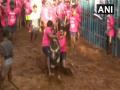 Pongal 2020: पोंगल के मौके पर जलीकट्टू खेल का भी आयोजन, जानिए कैसे खेला जाता है ये खतरनाक खेल - Hindi News | Jallikattu competitions begins in Tamil Nadu on Pongal, know what is Jallikattu and how it is played | Latest spirituality News at Lokmatnews.in