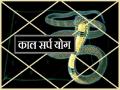 कालसर्प योग क्या होता है? ये संकेत मिलते ही हो जाएं सतर्क - Hindi News | What is Kaal sarpa Yoga Be cautious as soon as these signs are received | Latest spirituality News at Lokmatnews.in