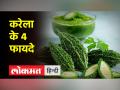 बीपी, कैंसर और डायबिटीज जैसी बीमारियों के लिए फायदेमंद है करेला - Hindi News | Bitter gourd is beneficial for diseases like BP, cancer and diabetes | Latest health Videos at Lokmatnews.in