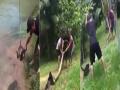 वायरल वीडियो: अजगर के चंगुल से कुत्ते को बचाया, फिर भी सोशल मीडिया पर सुननी पड़ी खरी-खोटी - Hindi News | Men saves Dog from Python Attack but he is trolled on social media | Latest weird News at Lokmatnews.in