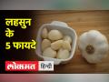 सर्दियों में लहसून खाने से मजबूत होता है शरीर, जानें फायदे - Hindi News | Eating garlic in winter makes the body strong, know its benefits | Latest health Videos at Lokmatnews.in