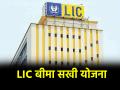 LIC की ये योजना महिलाओं के लिए सुनहरा मौका, मिलेंगे हर महीने 7000; जानें कैसे करें अप्लाई - Hindi News | LIC Bima Sakhi Yojana opportunity for women they will get Rs 7000 every month Know how to apply | Latest business News at Lokmatnews.in