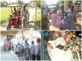 इन तस्वीरों को देख लेंगे तो अपनी बारी पर वोट देने जरूर पहुंचेंगे - Hindi News | Lok Sabha Elections 2109: These Voters give big inspiration to others in first phase polls | Latest india News at Lokmatnews.in